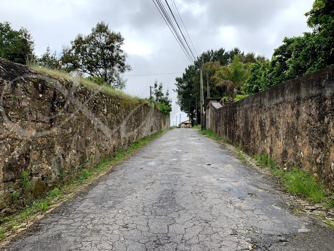 6_ca5Ud018svc1frg0epiz7xuh_wocx9r.jpg?type=e1920_std