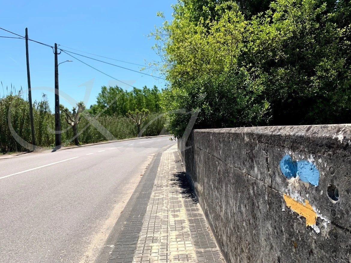 2_bi1Ud018svc1rxnnuuxqpvwj_wocx9r.jpg?type=e1920_std