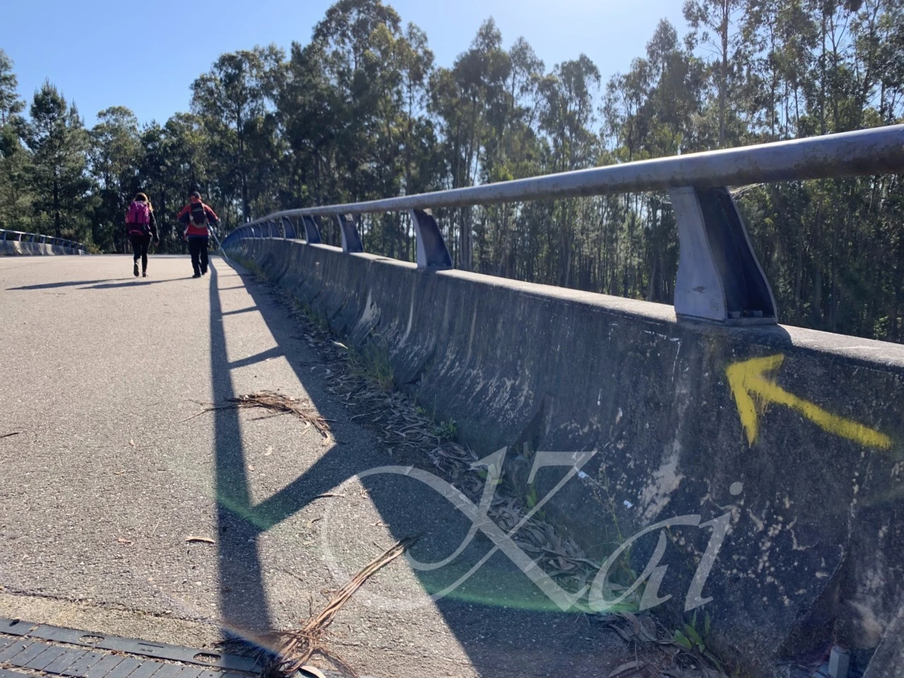 f_49cUd018svcawn8v3imuvz2_wocx9r.png?type=e1920_std