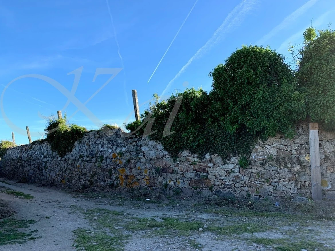 7_265Ud018svcrbxwajdh97ql_wocx9r.jpg?type=e1920_std