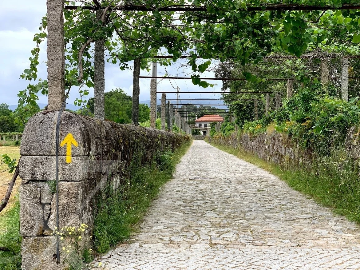 f_0daUd018svc96v4k0kaoqk2_wocx9r.jpg?type=e1920_std