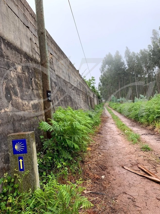 2_136Ud018svcr351xd9whbqg_wocx9r.jpg?type=e1920_std