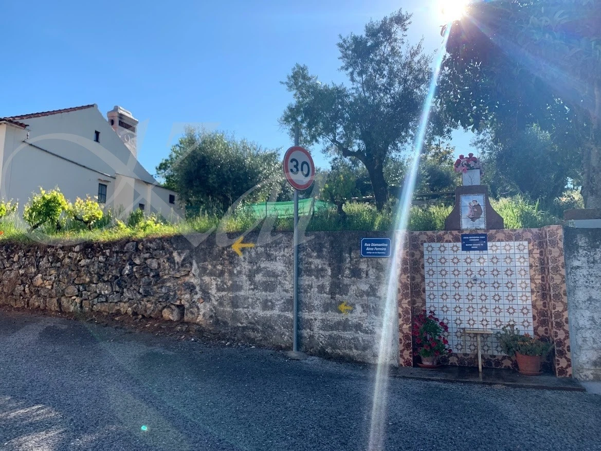 d_8c7Ud018svc1bg6muzl0980h_wocx9r.jpg?type=e1920_std