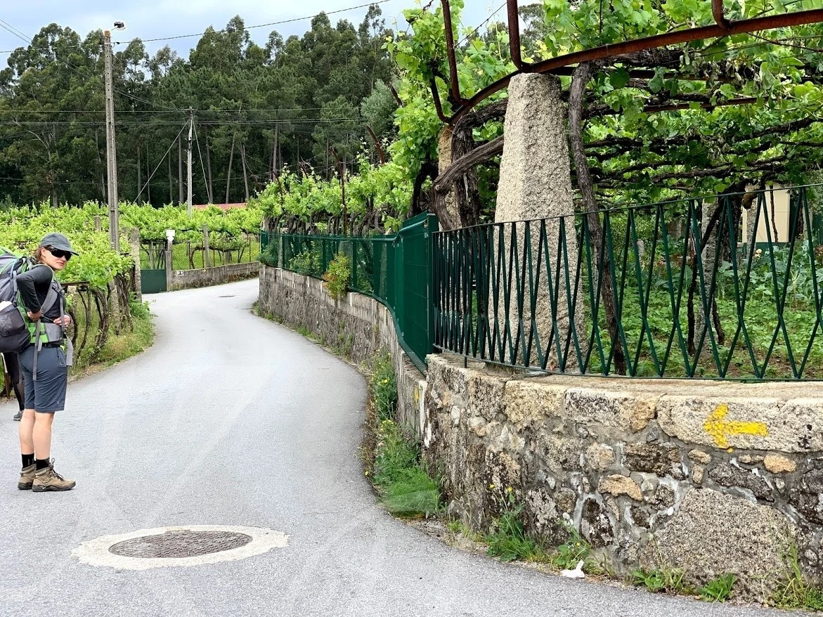 e_5daUd018svc1lfwzm7q5bz5l_wocx9r.jpg?type=e1920_std