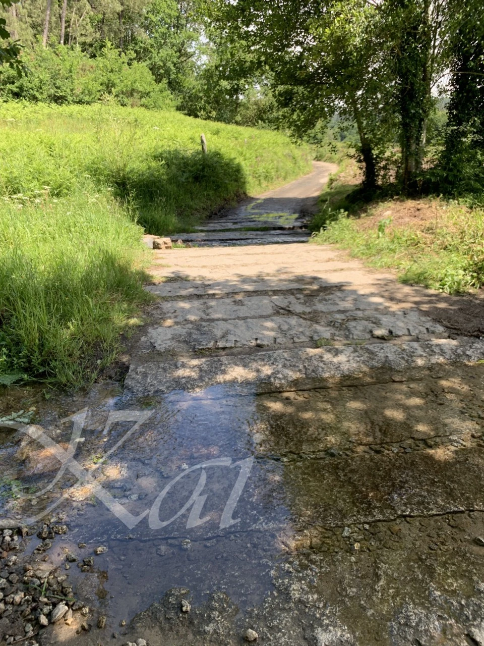 4_2gfUd018svcm4f1b7v7lg38_wocx9r.png?type=e1920_std