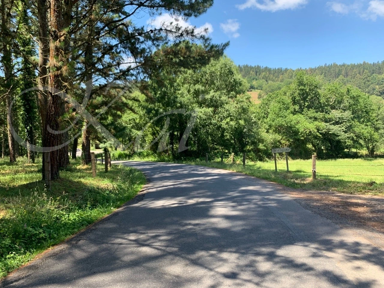 7_02gUd018svc18m5yugup7fen_wocx9r.jpg?type=e1920_std