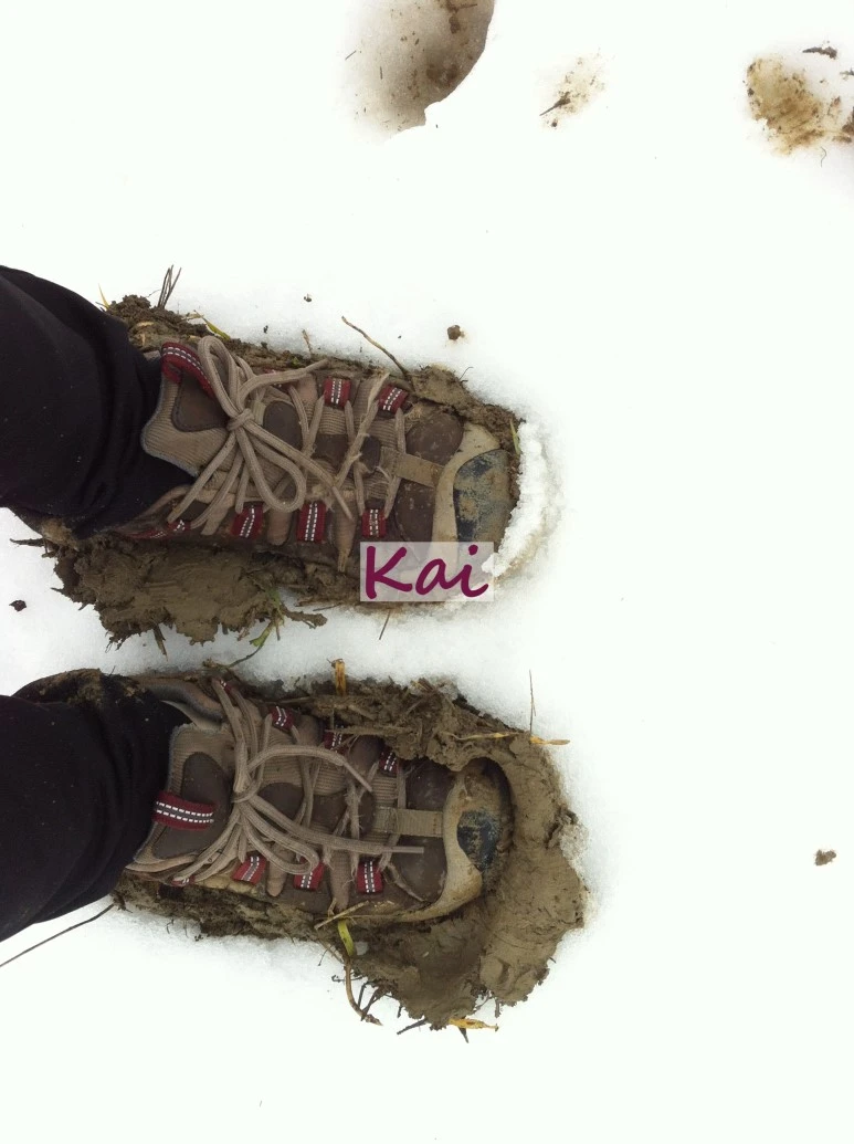 image_7369555741515607631934.jpg?type=w773