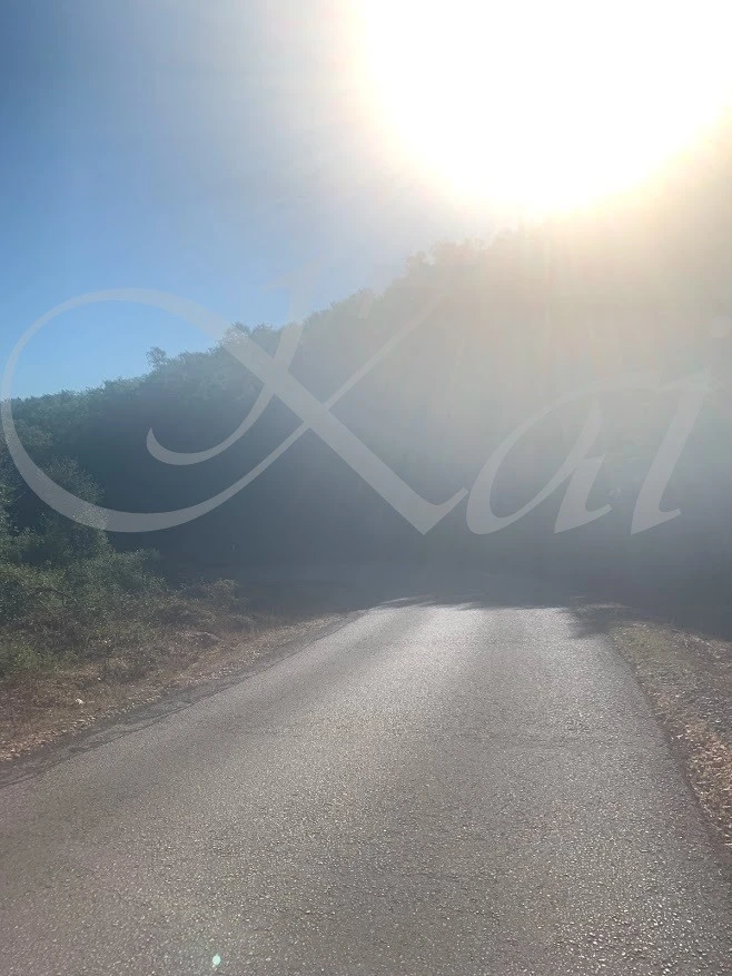 c_hc7Ud018svc1m8ozwc6ixfrr_wocx9r.jpg?type=e1920_std