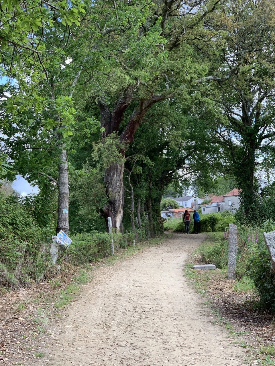 b_6efUd018svcuuwq6iww3ie6_wocx9r.png?type=e1920_std