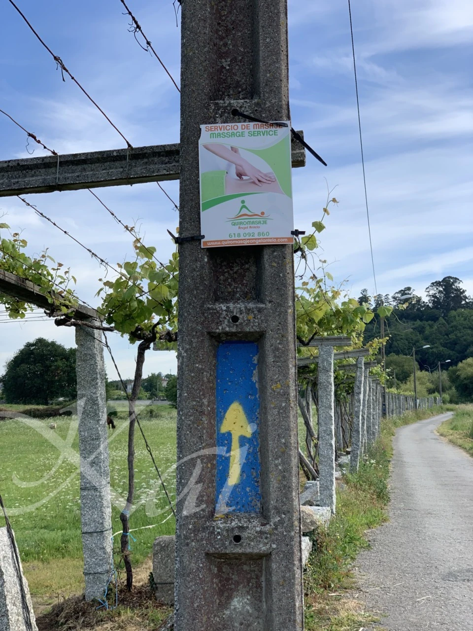 b_6geUd018svc9ztg6kxrm9mx_wocx9r.png?type=e1920_std