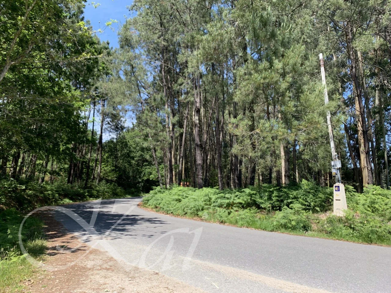 c_ggfUd018svc17cco5cuwtzv2_wocx9r.png?type=e1920_std