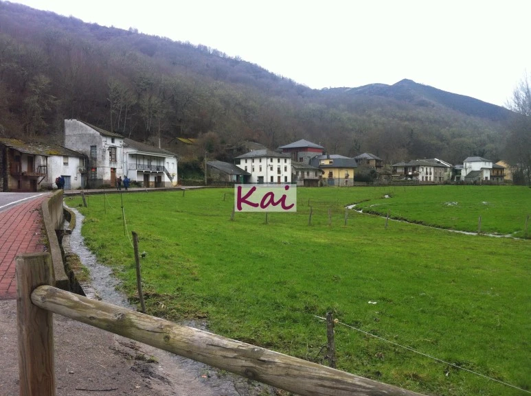 image_996085001515607631906.jpg?type=w773