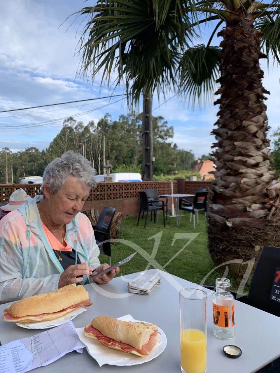 8_j86Ud018svc1fm6bmfbirxx7_wocx9r.png?type=e1920_std