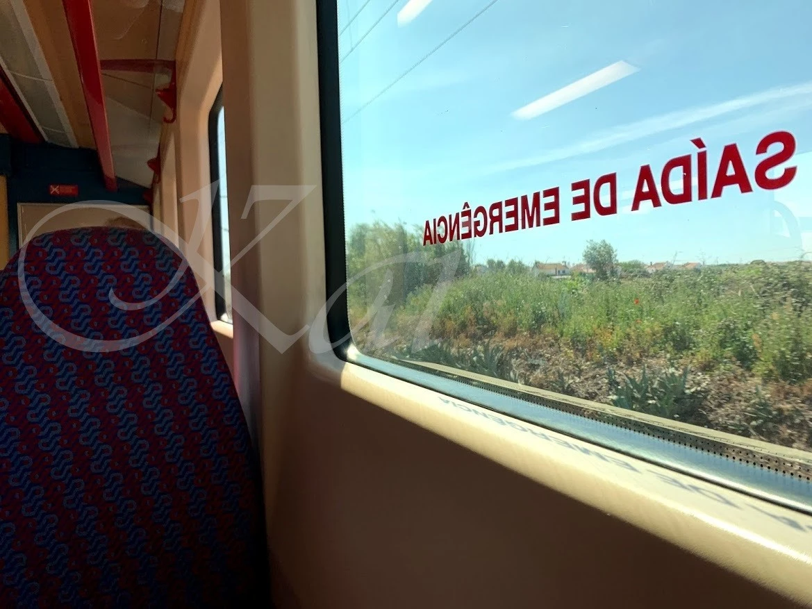 3_ii1Ud018svc1uj0i43juxtkq_wocx9r.jpg?type=e1920_std