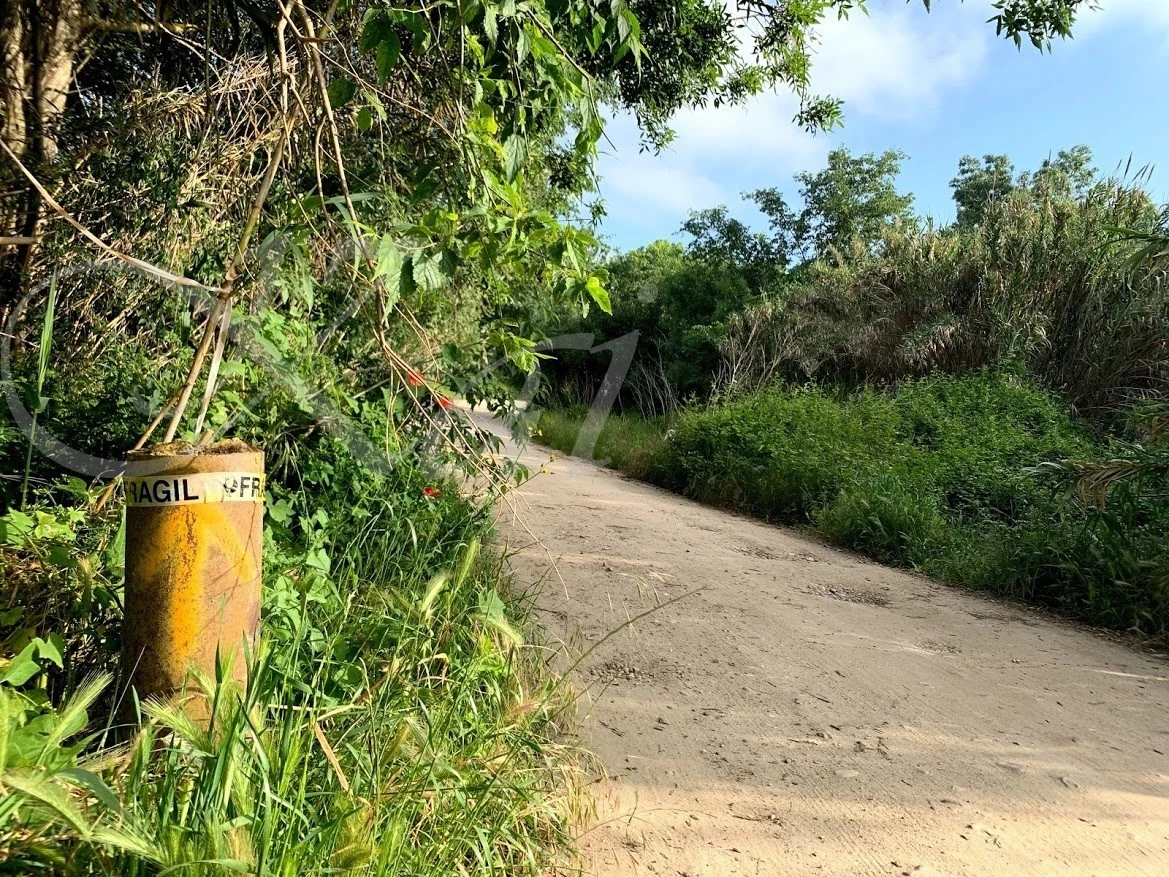 j_404Ud018svcjsxp361o87p4_wocx9r.jpg?type=e1920_std