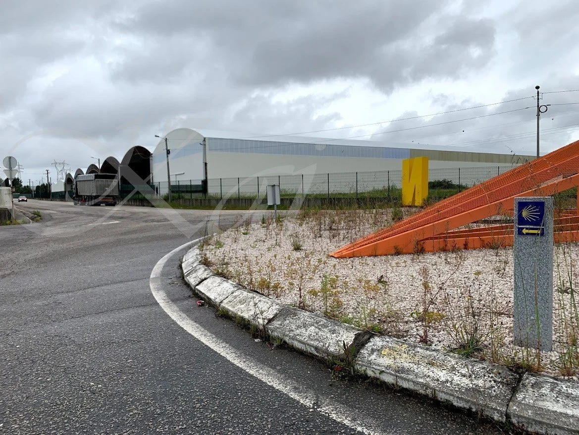 g_hfiUd018svc8xt29n3agl5f_wocx9r.jpg?type=e1920_std