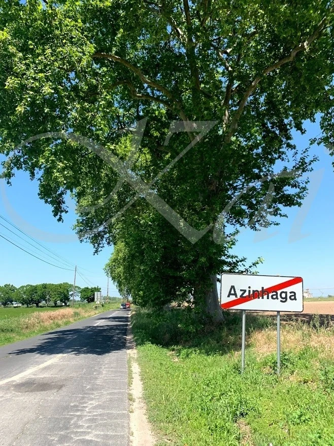 0_jc0Ud018svc1ol39xhbsa9c2_wocx9r.jpg?type=e1920_std