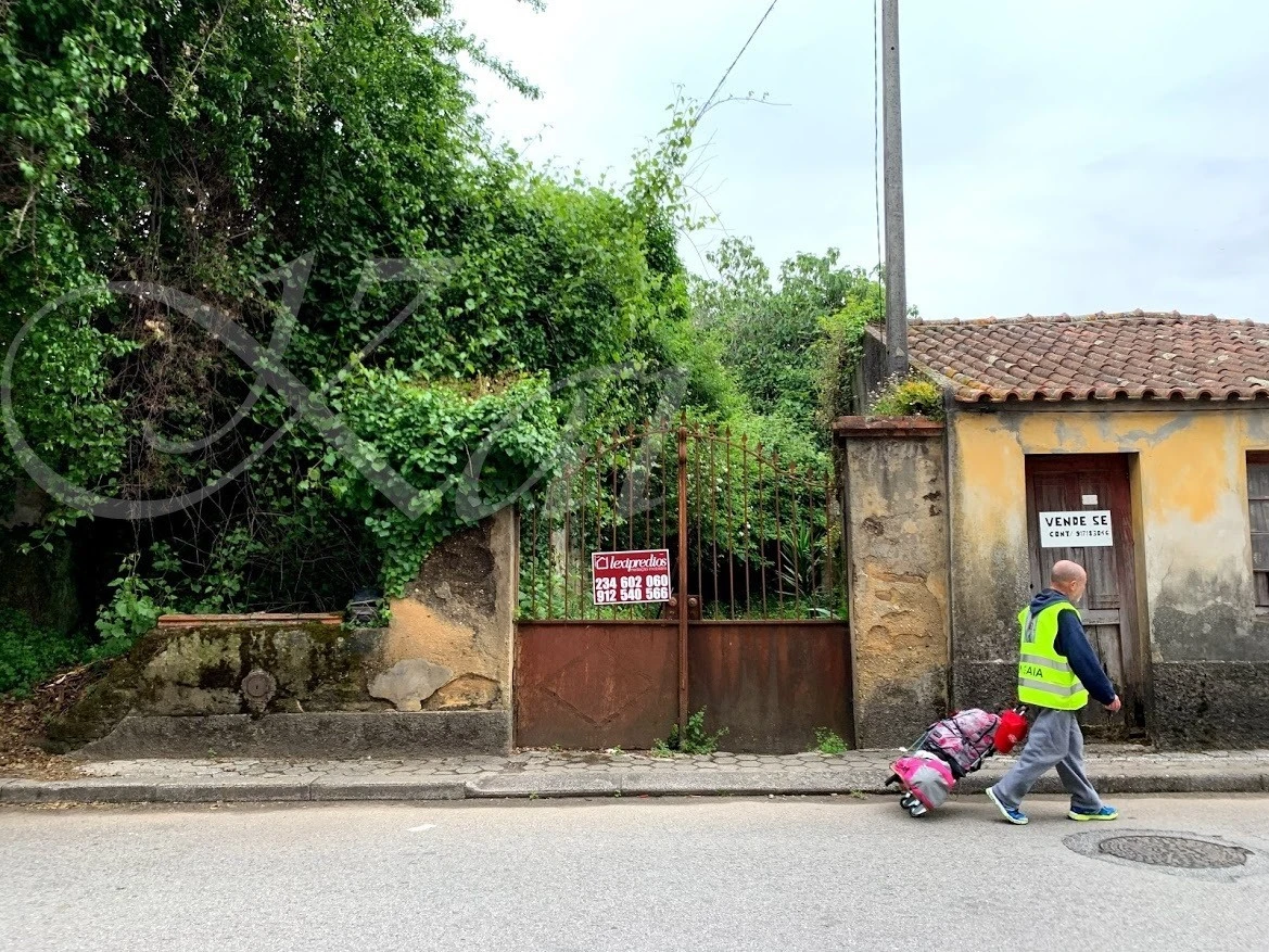 6_334Ud018svc12nrkm5t1kopk_wocx9r.jpg?type=e1920_std