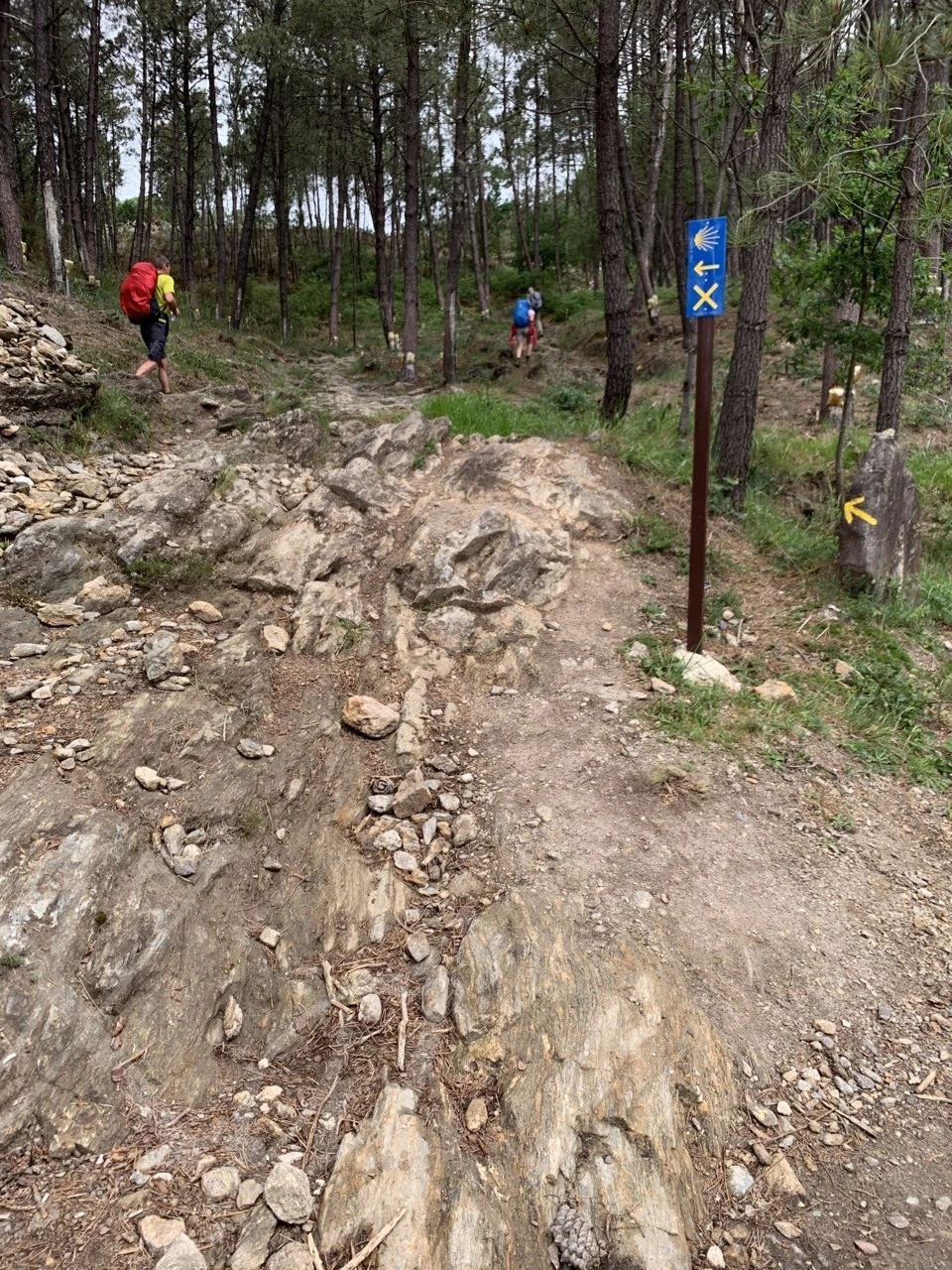 j_f59Ud018svce0v4s2r5hv0s_wocx9r.png?type=e1920_std