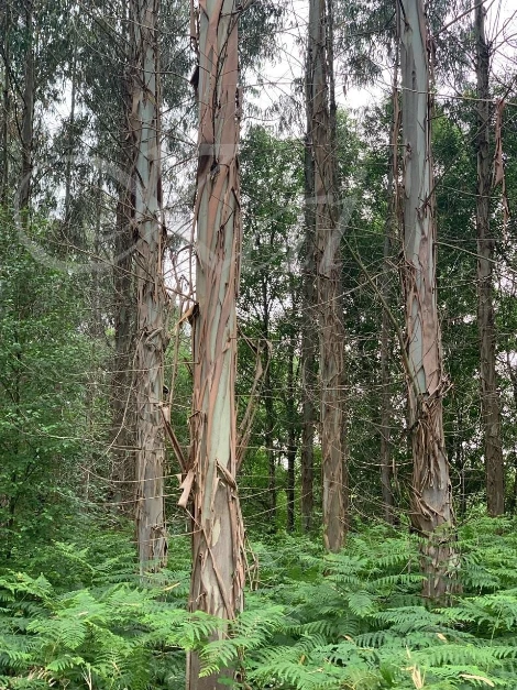 8_41iUd018svc19xm42gu0lvrg_wocx9r.jpg?type=e1920_std