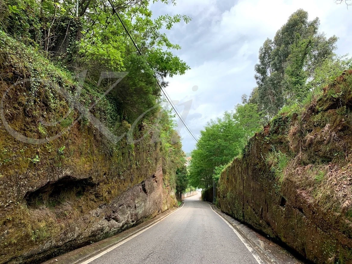 i_efiUd018svc19th2q846ejlj_wocx9r.jpg?type=e1920_std