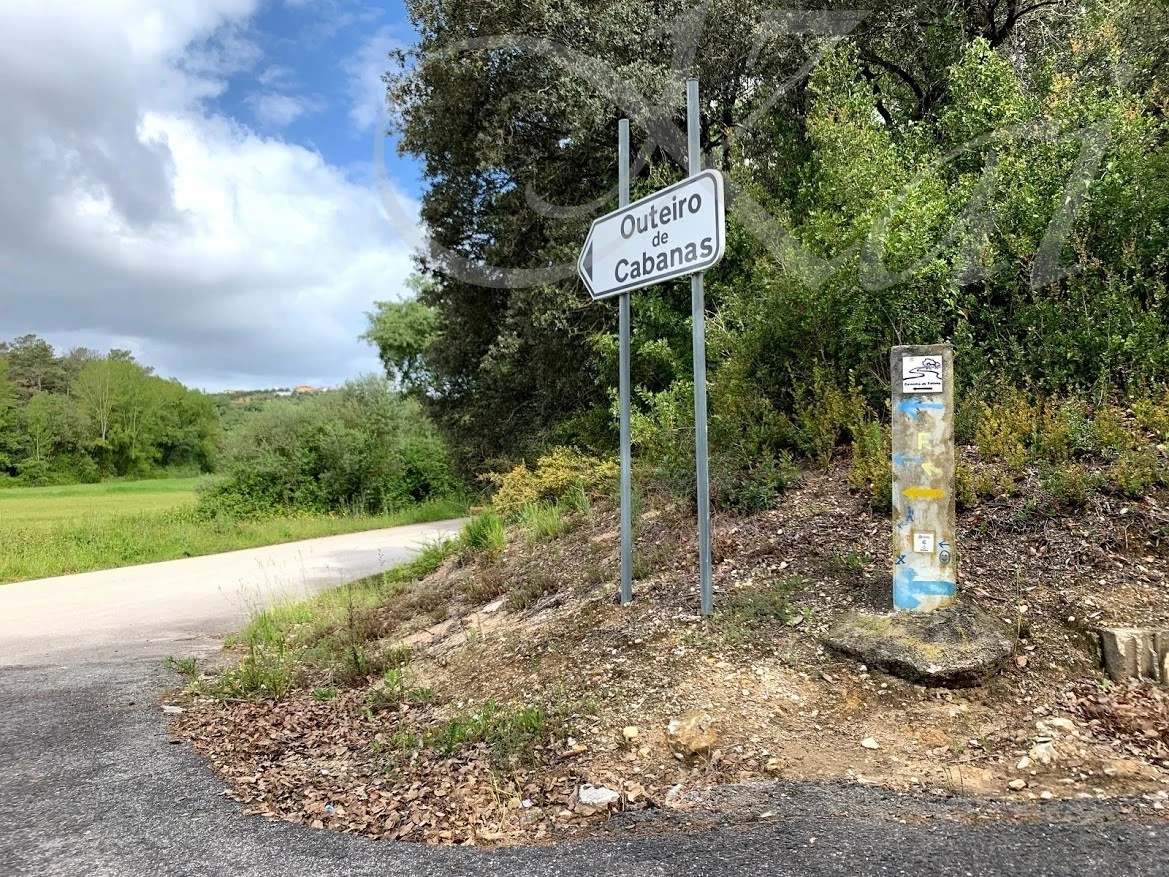 5_687Ud018svccfgx4iq7pdv2_wocx9r.jpg?type=e1920_std