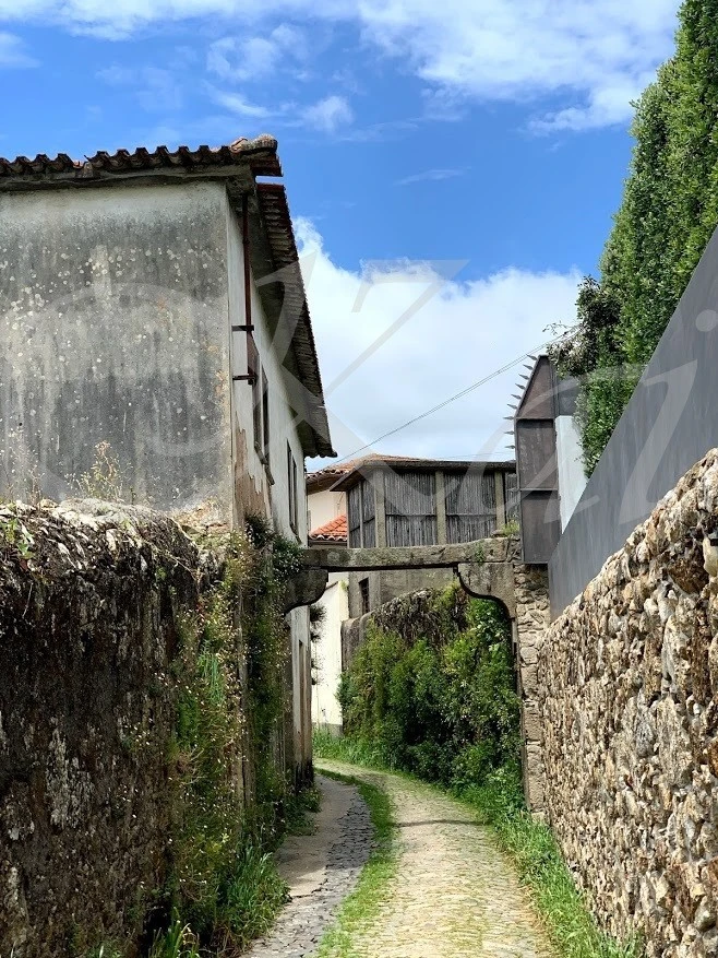 9_ja5Ud018svceciqjtjh16tw_wocx9r.jpg?type=e1920_std