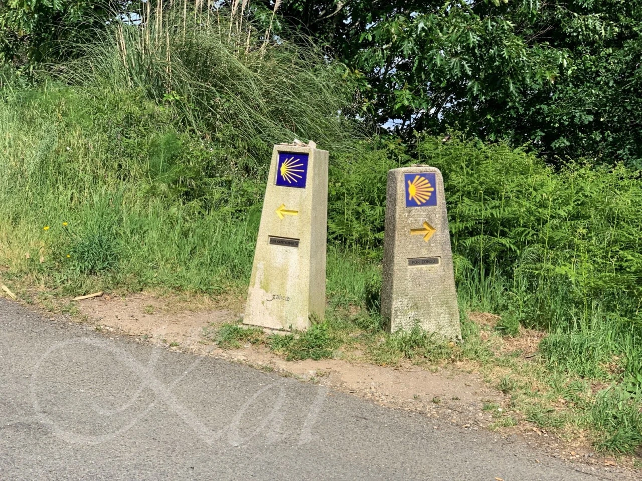 j_f6cUd018svck393tqn4cuqh_wocx9r.jpg?type=e1920_std