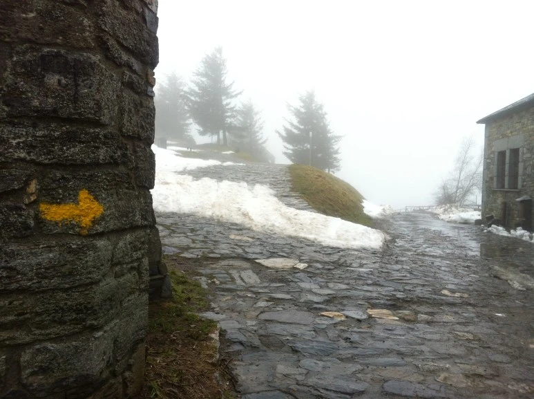 IMG_8140.JPG?type=w773