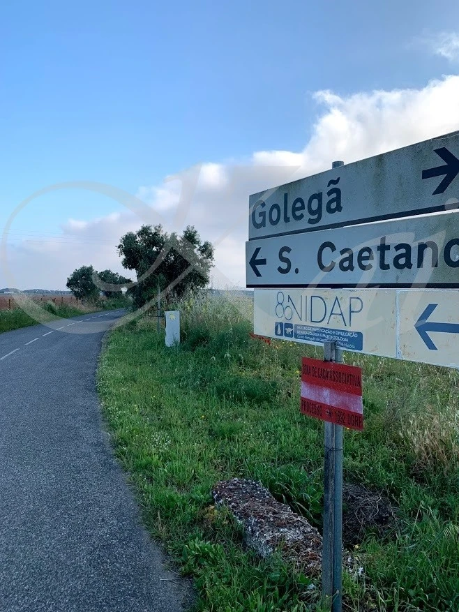 h_904Ud018svcanyafnqwpphy_wocx9r.jpg?type=e1920_std