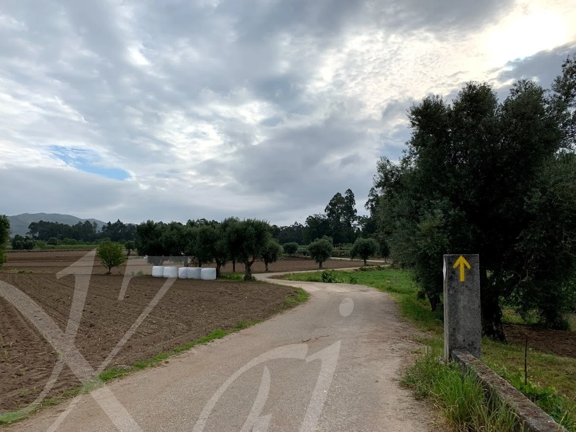 a_adaUd018svc1kur847av1ay9_wocx9r.jpg?type=e1920_std