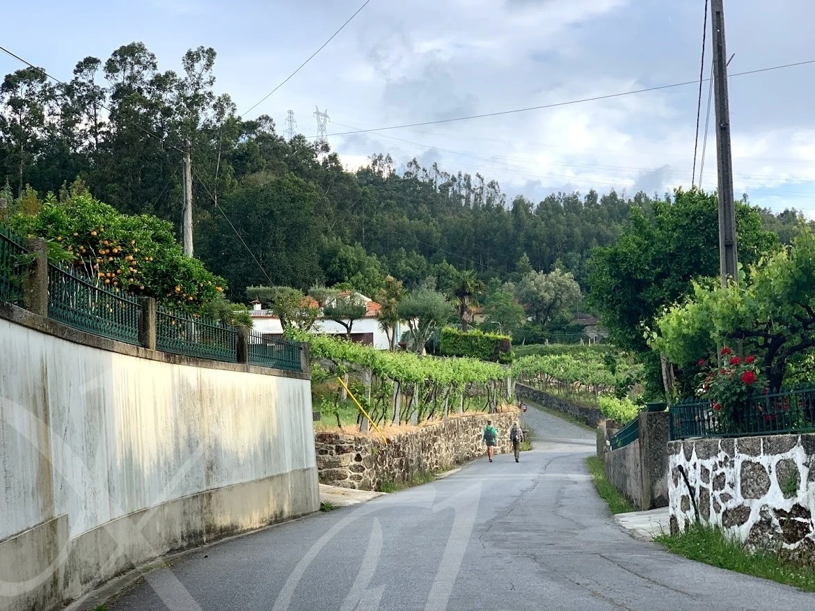 9_fdaUd018svc12s8lbme9meuf_wocx9r.jpg?type=e1920_std