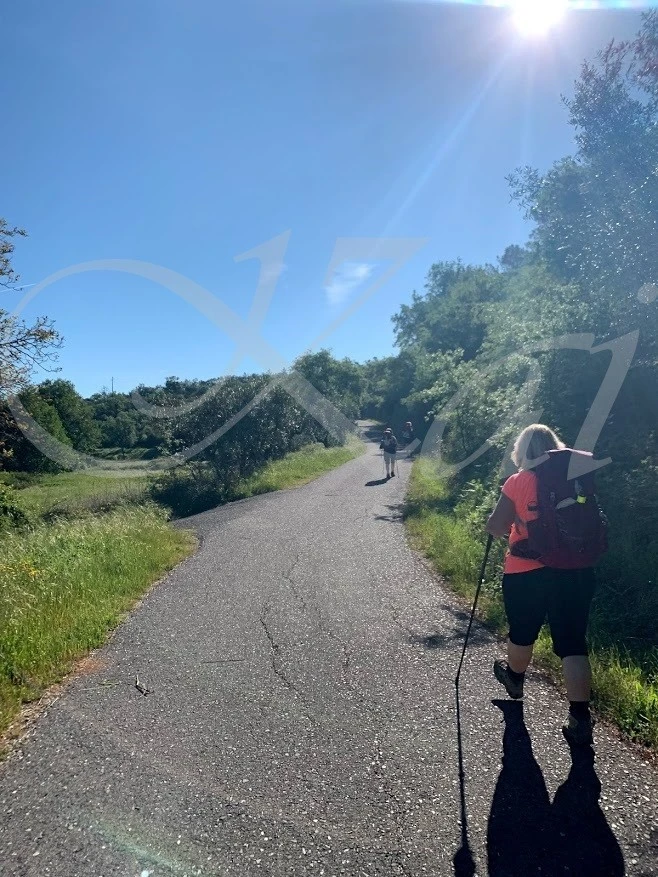 d_ic7Ud018svcmp8xtlpxterd_wocx9r.jpg?type=e1920_std