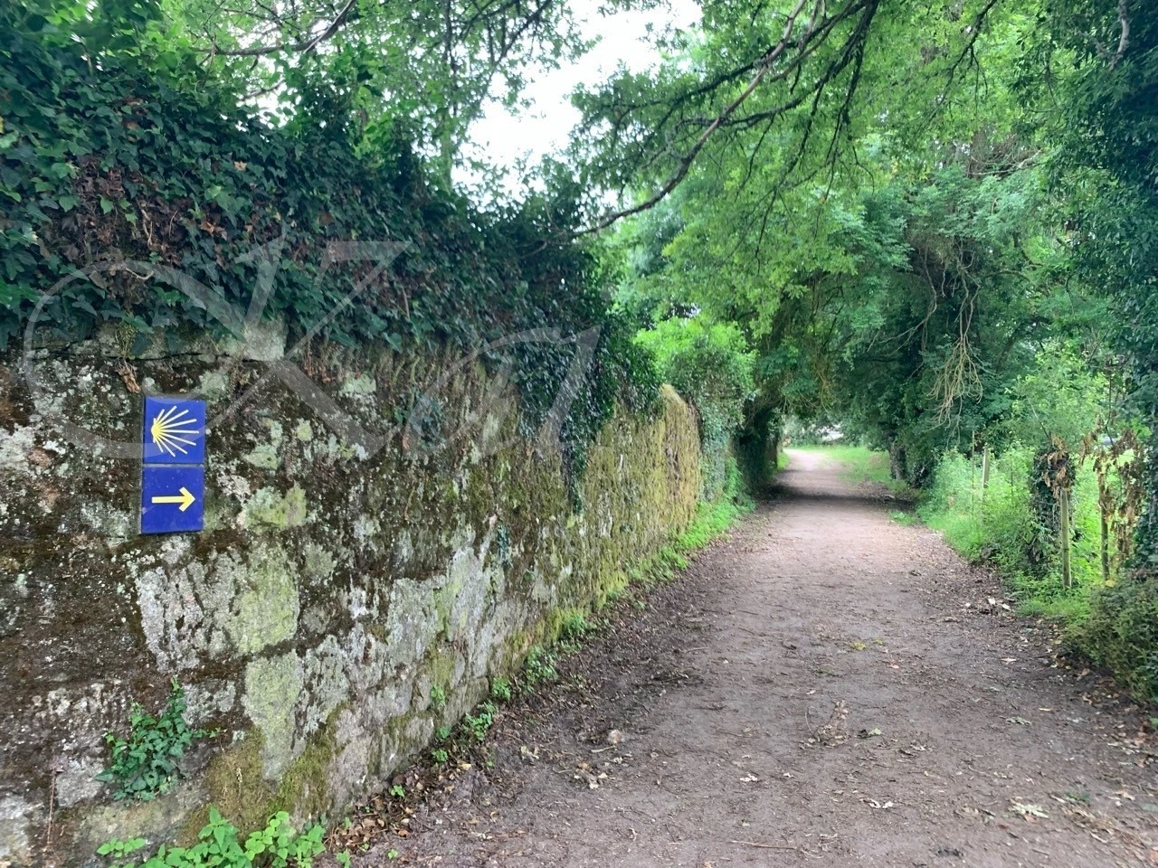 f_92fUd018svc1j39tl5e8fmr6_wocx9r.jpg?type=e1920_std