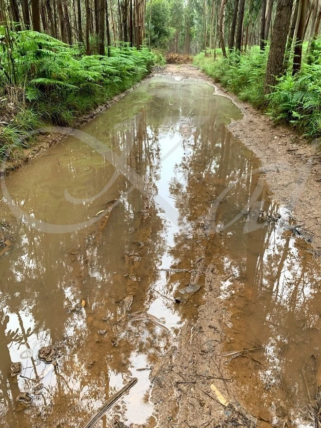 d_f2dUd018svc1jbukex1h7k7b_wocx9r.jpg?type=e1920_std