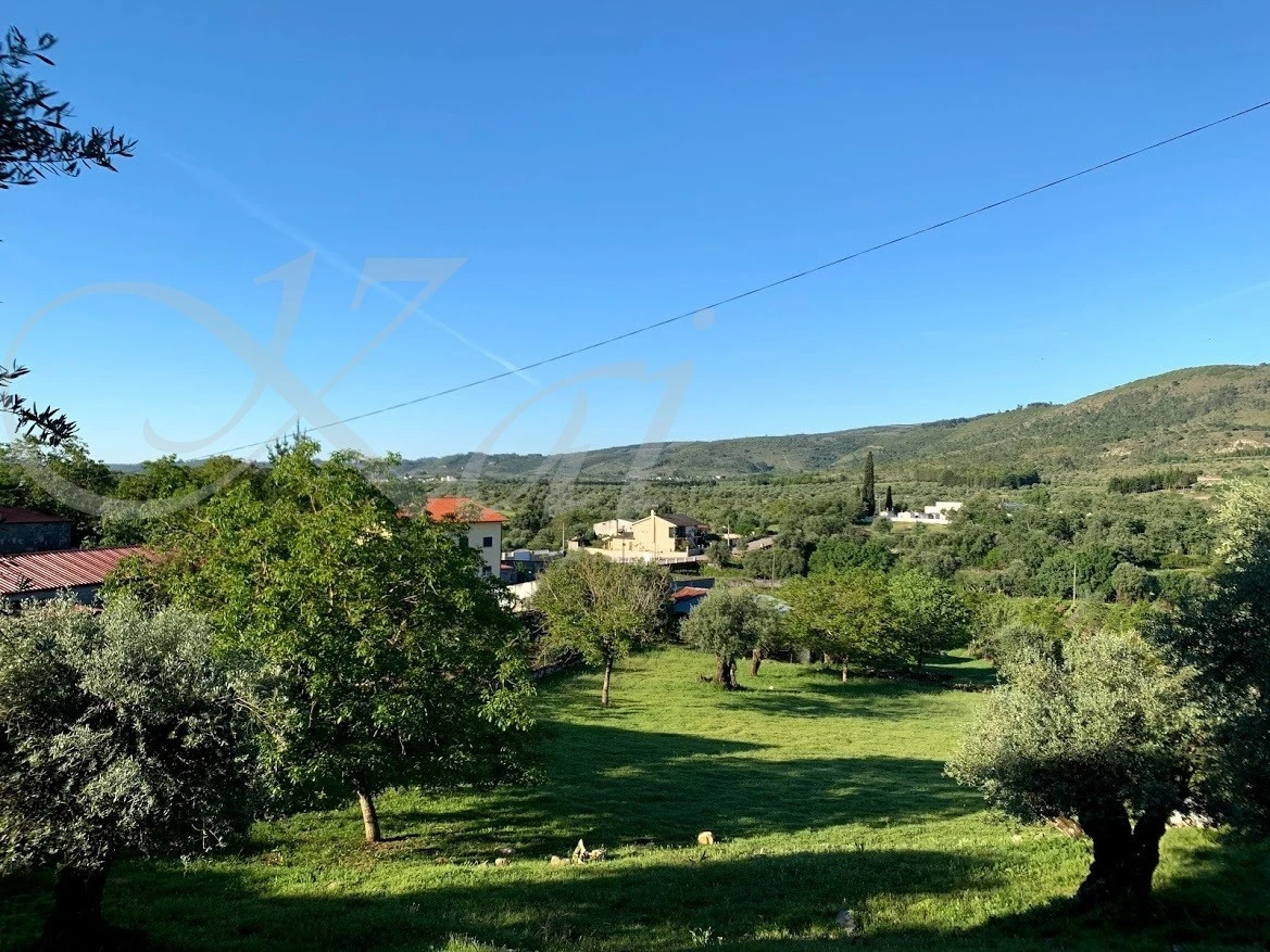 0_h4jUd018svc13jmn9bwjoc8i_wocx9r.jpg?type=e1920_std