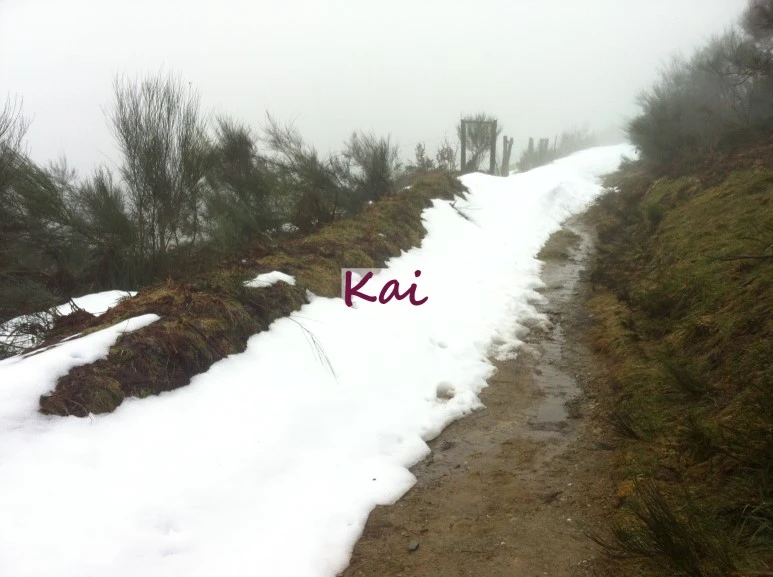 image_4216556431515607631907.jpg?type=w773