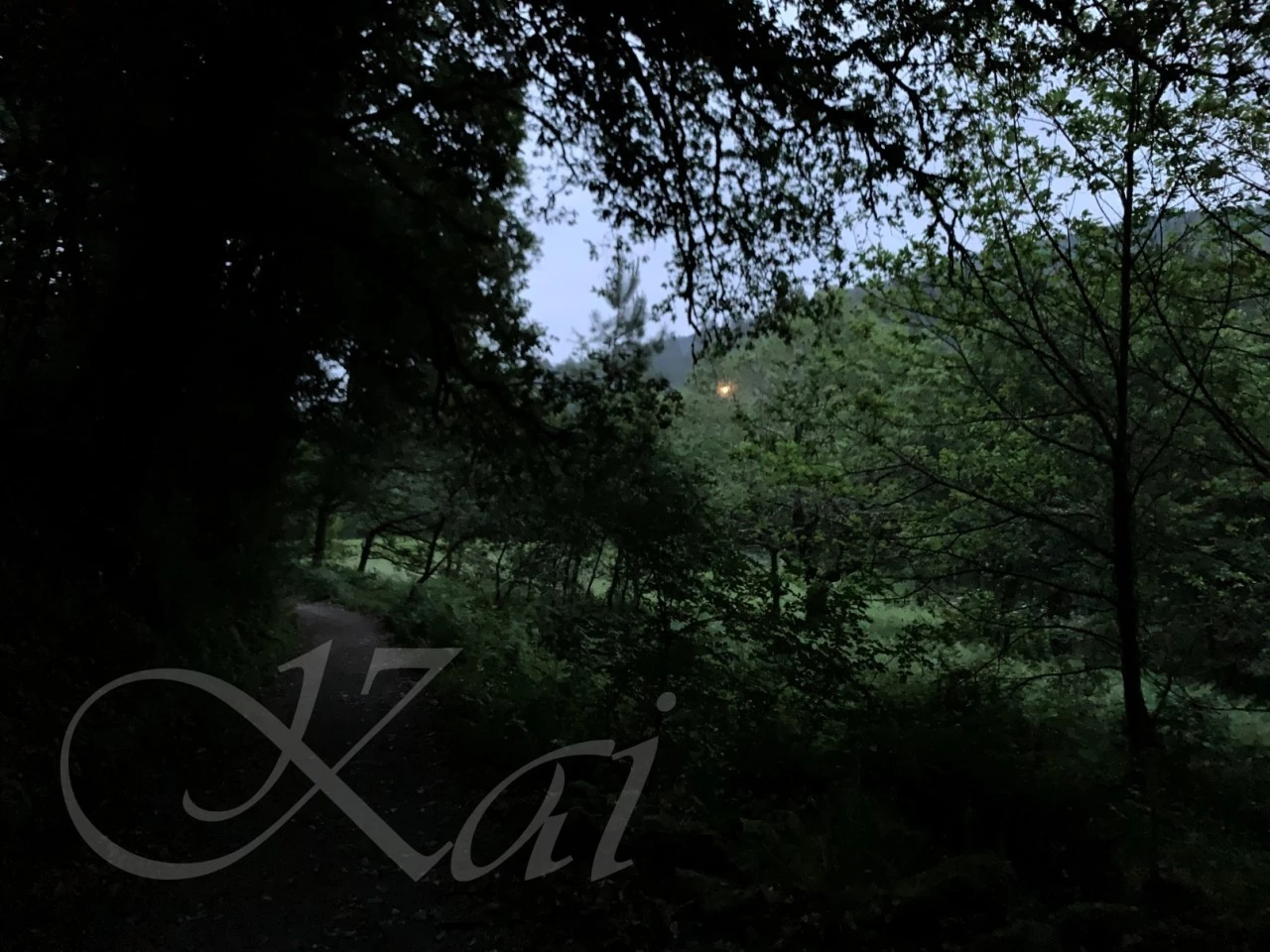 a_76cUd018svcdpoqkts19ol3_wocx9r.jpg?type=e1920_std