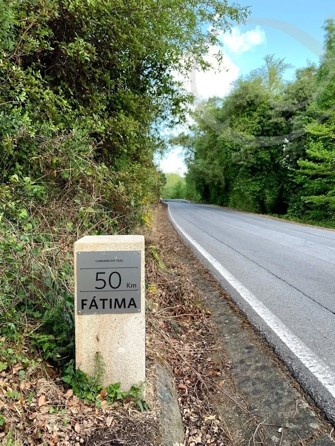 3_a87Ud018svc1l3vpt8e7ifx2_wocx9r.jpg?type=e1920_std