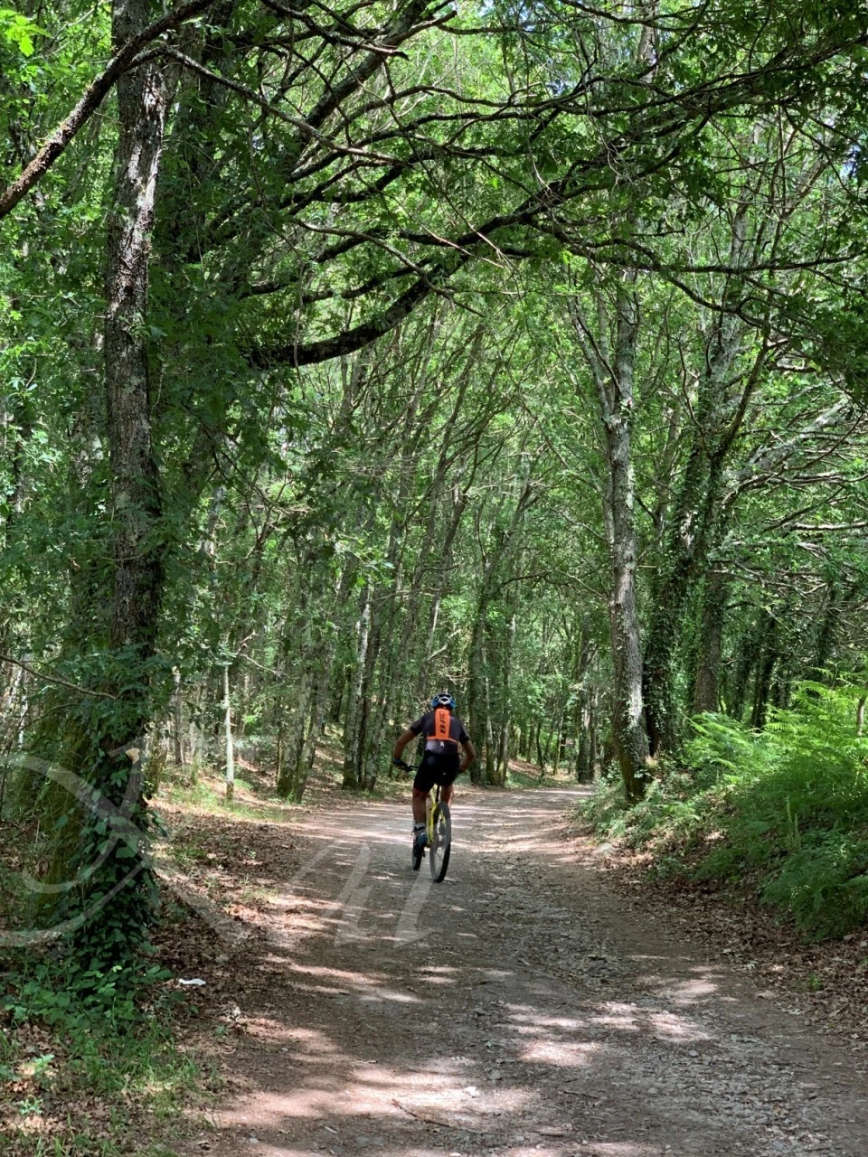 i_76cUd018svc1l0vhgndgyxhg_wocx9r.jpg?type=e1920_std