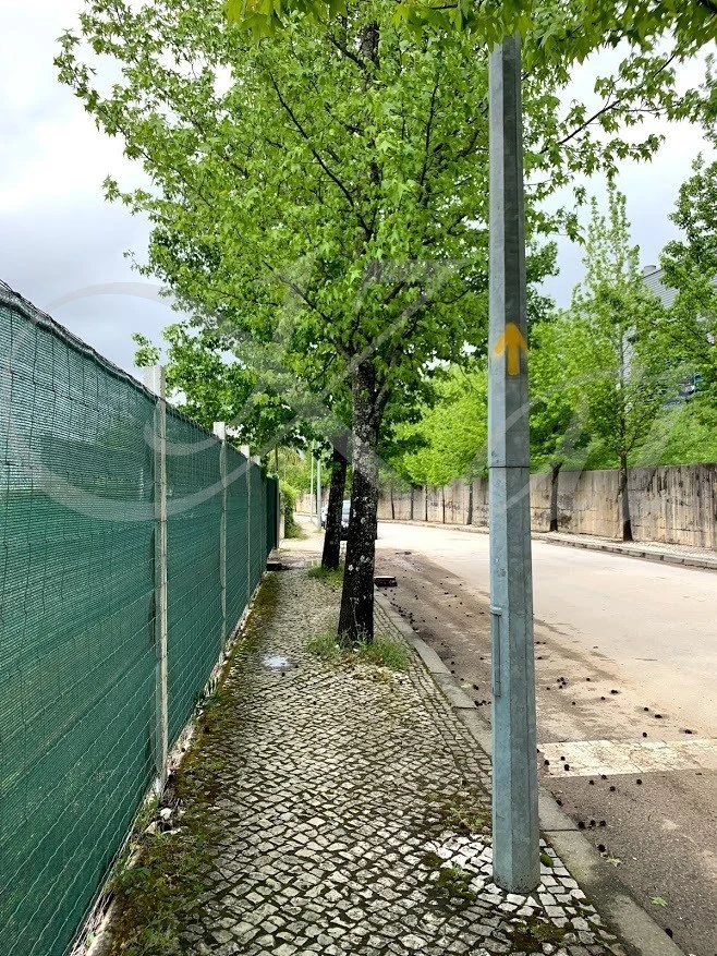 8_5a5Ud018svc59tz28j2fu91_wocx9r.jpg?type=e1920_std