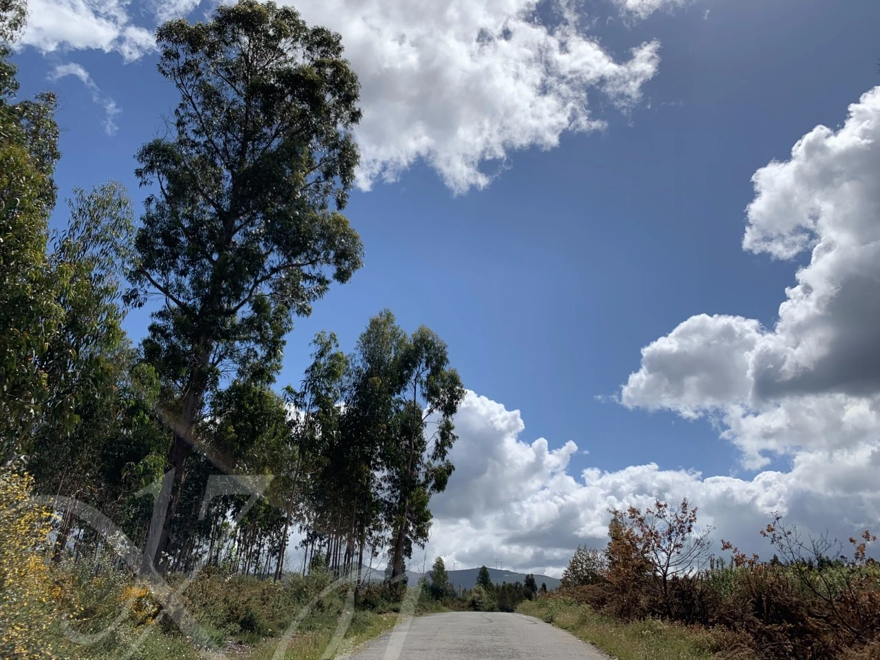 8_2egUd018svc1gflpby3jmg20_wocx9r.png?type=e1920_std