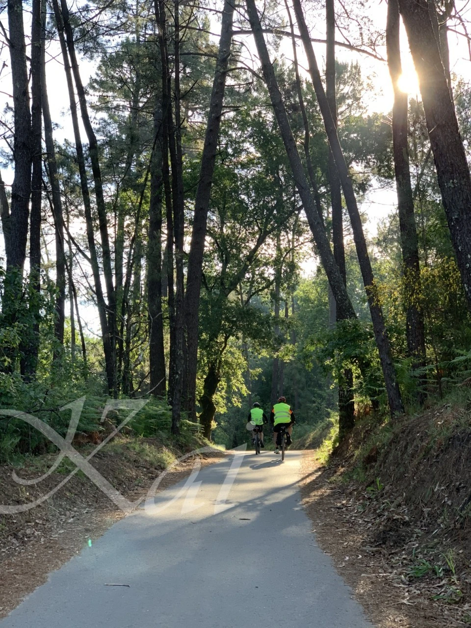 9_3geUd018svc1mir3jzlu7o6b_wocx9r.png?type=e1920_std