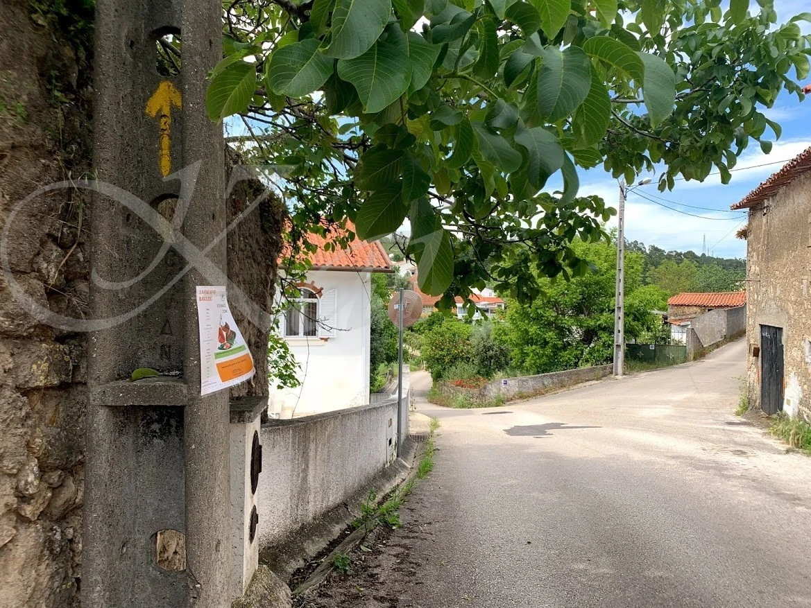 5_b4jUd018svc1push2xb4a2gm_wocx9r.jpg?type=e1920_std