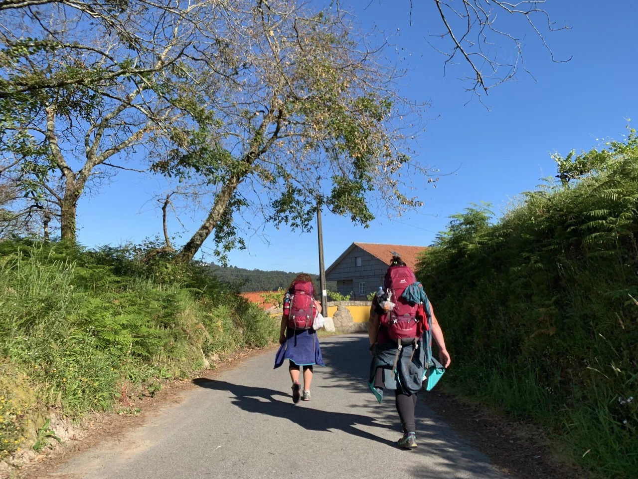 h_4eeUd018svcndm5oua0wvo3_wocx9r.png?type=e1920_std