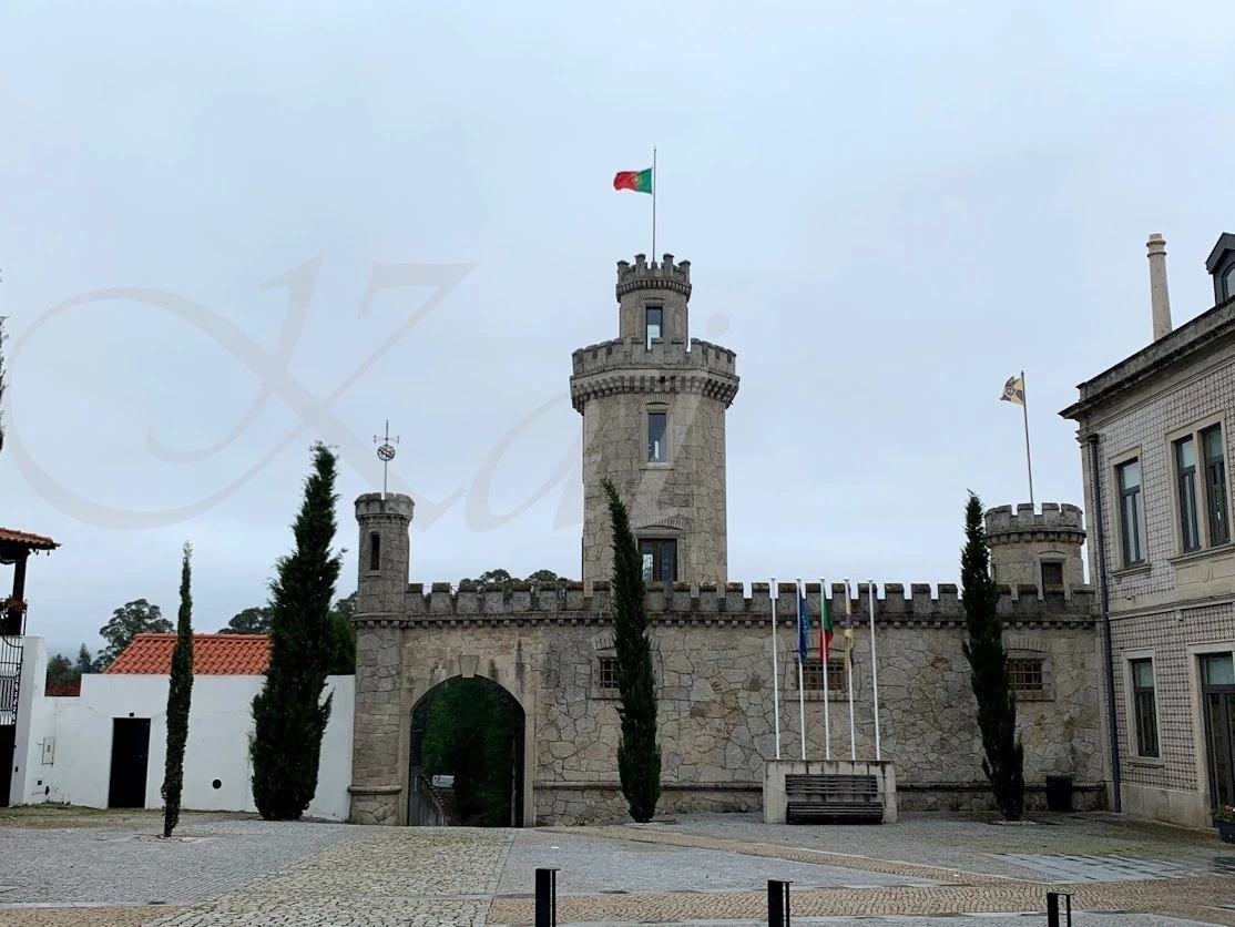 0_136Ud018svcduotif4px24b_wocx9r.jpg?type=e1920_std