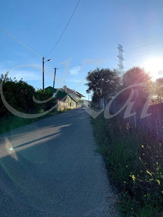 c_1c7Ud018svcddynb8351xen_wocx9r.jpg?type=e1920_std