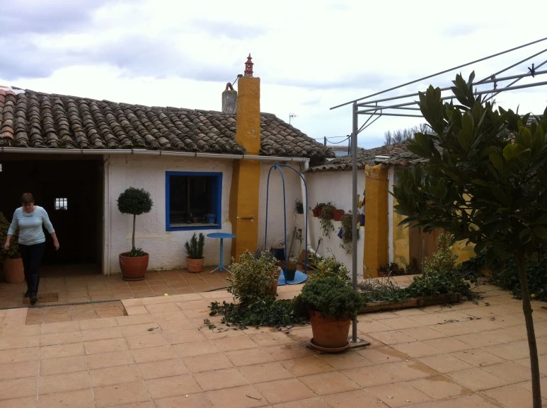 IMG_6278.JPG?type=w773