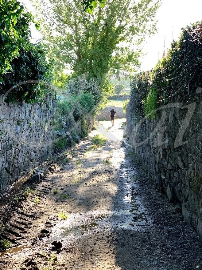 7_565Ud018svci5wjq4nxuyfc_wocx9r.jpg?type=e1920_std