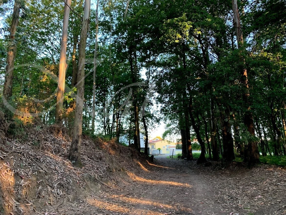 4_b65Ud018svctostrrh9nitm_wocx9r.jpg?type=e1920_std